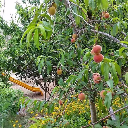 Masseria Ruri Pulcra Hotel